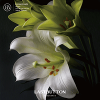 LASTBUTTON Fleur Épurée Solid Perfume 30ml