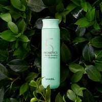 MASIL 5 Probiotics Scalp Scaling Shampoo 300ml