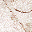 NAMING. Fluffy Baked Highlighter 3.8g