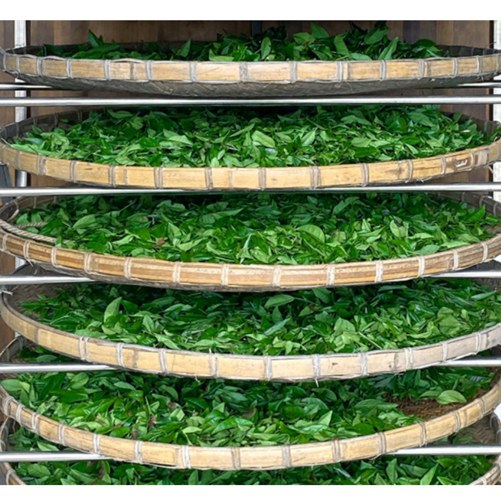 SANNOLU 100% JEJU Hoji Tea 80g (40g+40g)