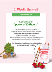 A'PIEU Mulberry Blemish Clearing Cream 50ml
