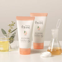 Sooncho All-in-One Cream 150g