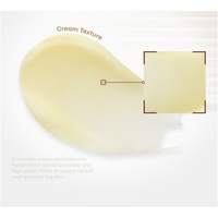 TONYMOLY Snail PDRN Recovery Cream 50ml