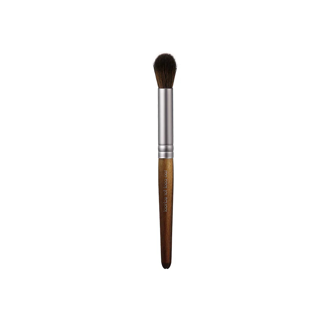 too cool for school Artist Vegan Brush Kit