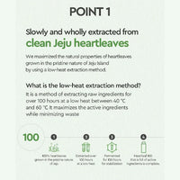 Dewytree Heartleaf 100 Serum 40ml