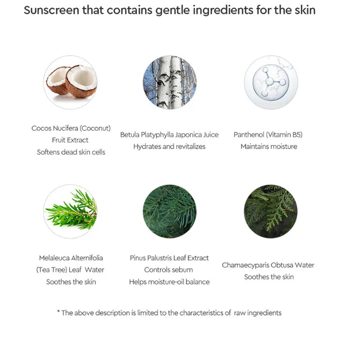 Dewytree Urban Shade Cover & Fit Sunscreen Cushion SPF 50+ PA++++ 14g