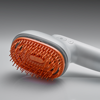 lilyeve Grow:Turn Brush Steam Booster