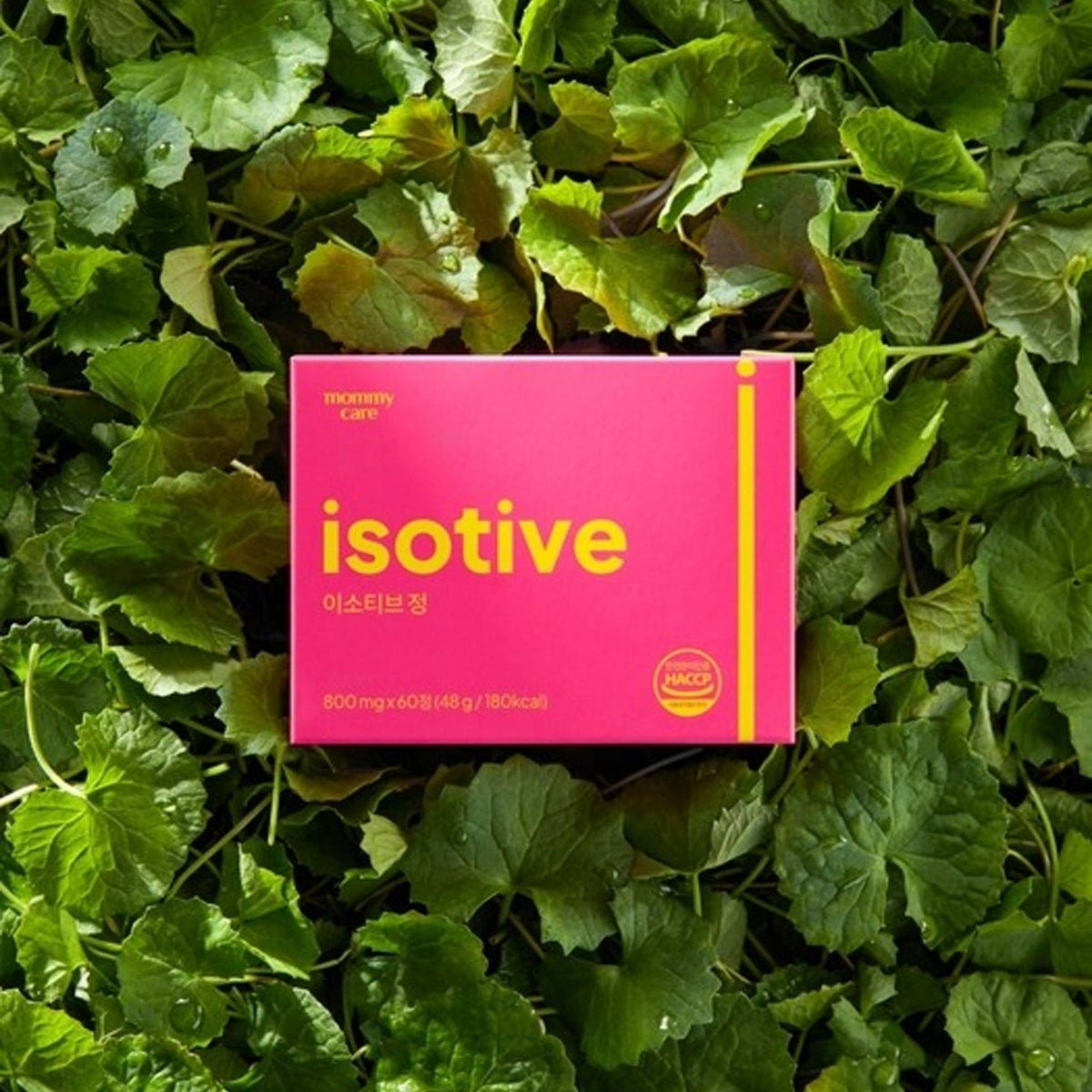 mommy care Isotive Tablets 1 Box (60 Tablets/30-Day Supply)