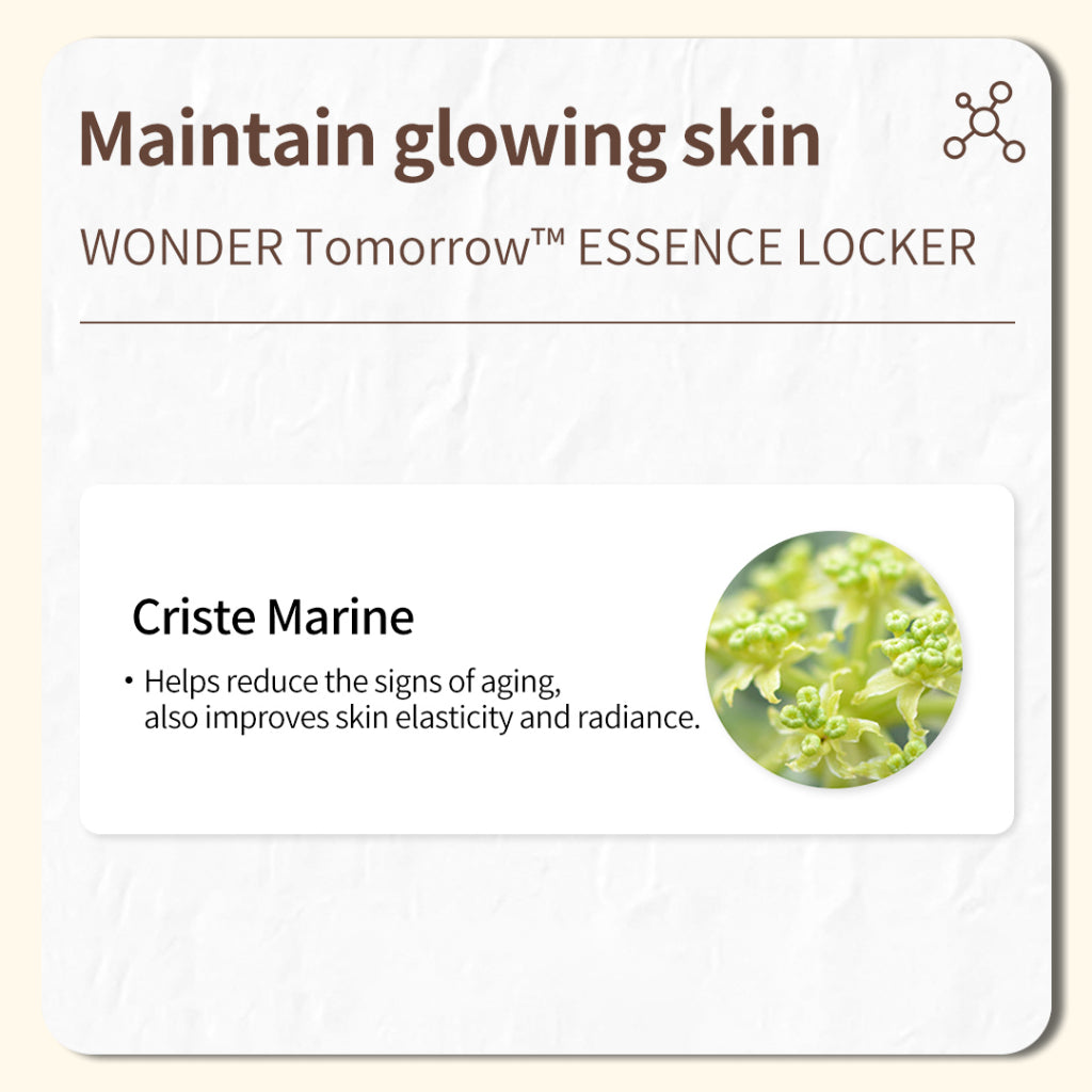 onoma Wonder Tomorrow Essence Locker 25ml/50ml