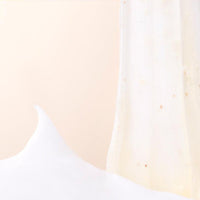 papa recipe Gelato Pack Cleanser 100ml 4 types