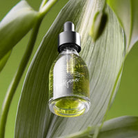 rendejavous Jeju Matcha Ampoule 30ml