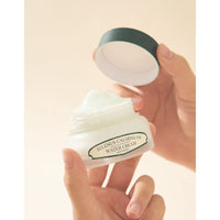 SELENUS Artemisia Calming Us Water Cream 50g