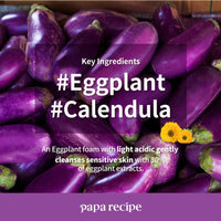 papa recipe Eggplant Clearing Mild Cleansing Foam 120ml