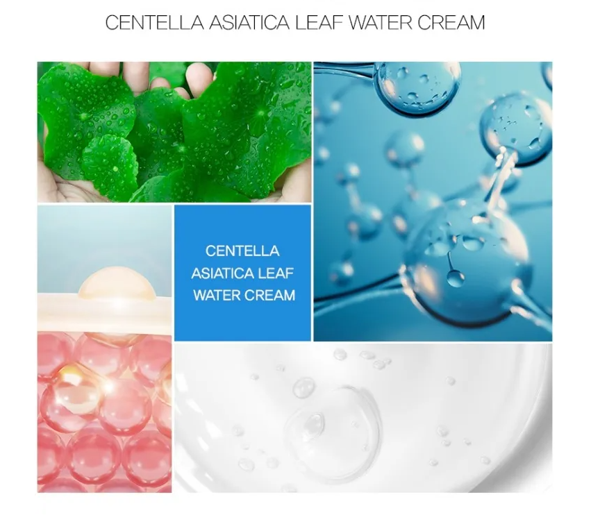 TOSOWOONG Centella Asiatica Leaf Water Cream 200ml