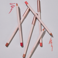 the SAEM Cover Perfection Lip Pencil 2g
